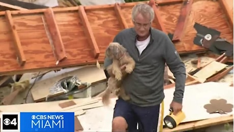 Uragano Milton, il miracoloso salvataggio del cane Lulu avviene in diretta tv: era sotto una montagna di detriti