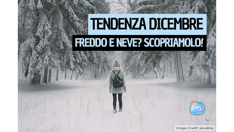 Tendenza meteo 15 giorni: Gelo in arrivo dalla Russia, poi pausa dall'Inverno