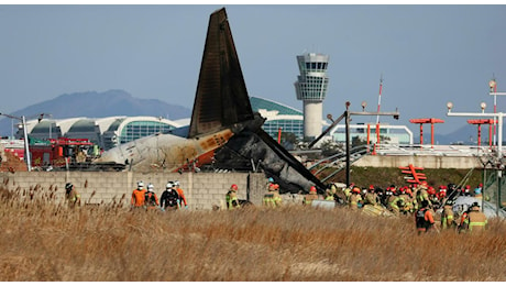 Corea del Sud, aereo esce di pista e si schianta con 181 persone a bordo: «Morti quasi tutti». Incidente forse causato da bird strike e maltempo