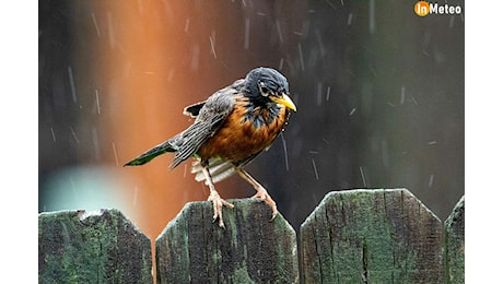 Meteo Padova, previsioni da Martedì 26 a Giovedì 28 Novembre