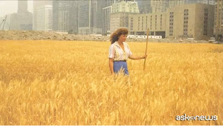 Art Basel con un'anima ecologica: torna il grano di Agnes Denes | Video iO Donna