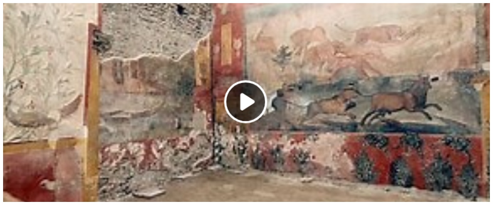 Turista vandalizza parete negli scavi di Pompei, bloccato (eqwr)