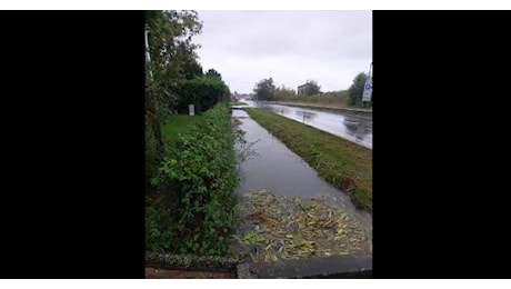 Pioggia abbondante a Parma, acqua alta in via Colorno. Allerta rossa in Romagna, ordinanza di evacuazione a Bagnacavallo