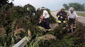 Maltempo a Ferrara, violento temporale si abbatte sulla città: vento forte e alberi caduti