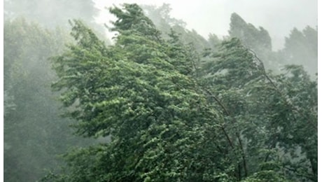 Tempesta in Toscana, emergenza e disagi