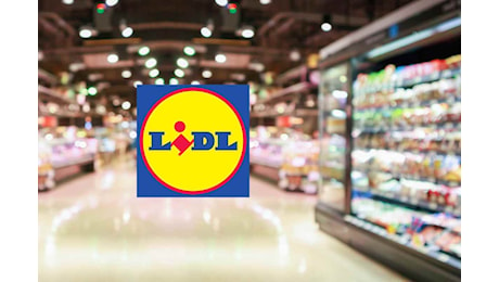 Lidl, sai veramente cosa compri? Da dove proviene la carne che metti nel carrello, non lo diresti mai