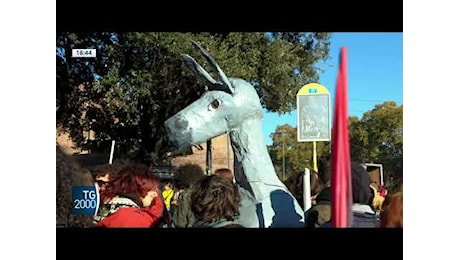 Sciopero e studenti in piazza in Italia. Cortei, vernice e cariche della polizia