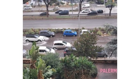 Raffiche di vento gelido e grandine su Palermo, alberi caduti e allagamenti