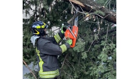 Vento sul riminese. Una ventina di interventi per i Vigili del Fuoco