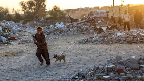 Orrore a Gaza: 500 cadaveri abbandonati per strada in pasto ai cani randagi