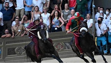 Palio di Siena 2 luglio 2024: la cronaca in diretta, il programma, dove vederlo, il brivido dei sei cavalli esordienti