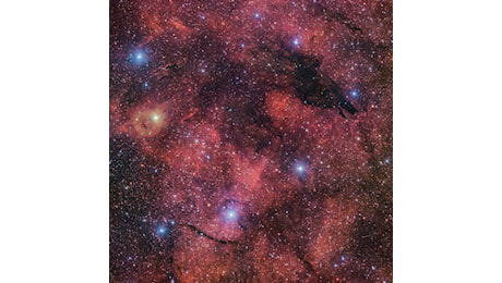 Attenti al lupo nella nebulosa