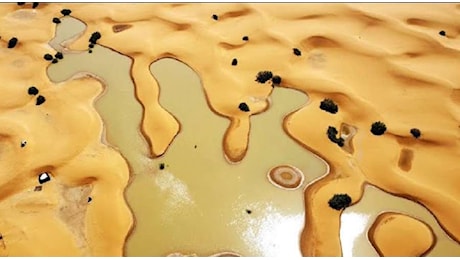 Sahara sott’acqua, immagini surreali create dalle piogge eccezionali sul deserto