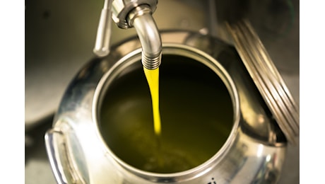 Olio d’oliva, produzione in calo del -32% nel 2024