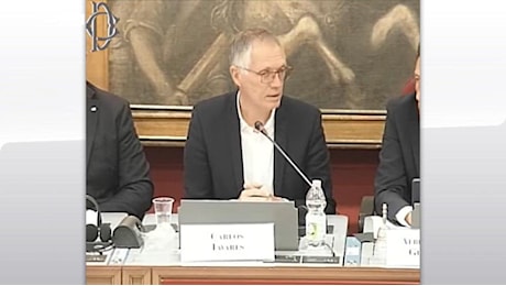 Tavares (Stellantis), scontro in Parlamento. Le accuse dei politici. E lui chiede altri incentivi