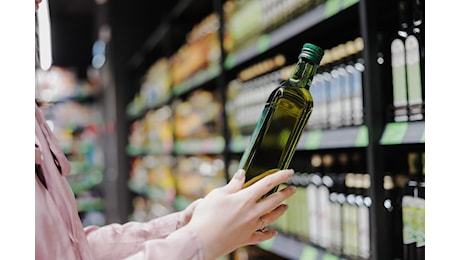 La classifica di Altroconsumo sull'olio extravergine di oliva: quali sono i migliori per qualità e prezzo