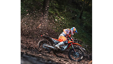 KTM Freeride E 2025, tutta nuova