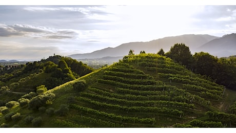 Esportazioni di vino, storico (ma atteso) sorpasso degli spumanti sui rossi