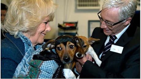 La regina Camilla e l'addio all'amata cagnolina Beth