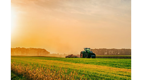 In arrivo 100 milioni di euro per le imprese agricole: al via bando Innovazione di Ismea