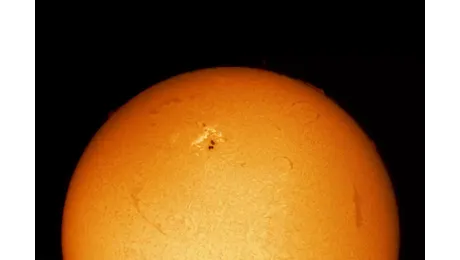Eruzione solare catturata da un osservatorio astronomico genovese