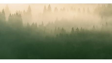 È il 6 maggio è abbiamo già esaurito tutte le risorse dell’ambiente dell'anno