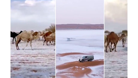 Neve nel deserto dell’Arabia Saudita, i video di dune e cammelli diventano virali