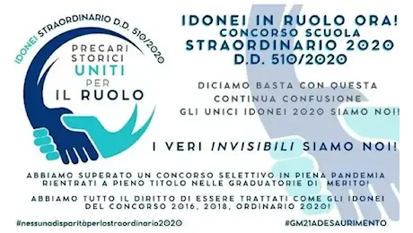 Docenti esclusi dalle immissioni in ruolo, Amareggiati dalla risposta del Governo