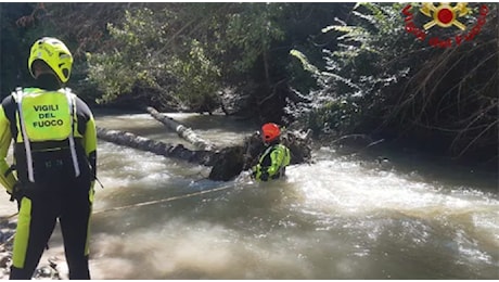 Salvataggio nel Lamone: aggrappati a un tronco nel fiume. Educatrice e bambini tratti in salvo dalla corrente