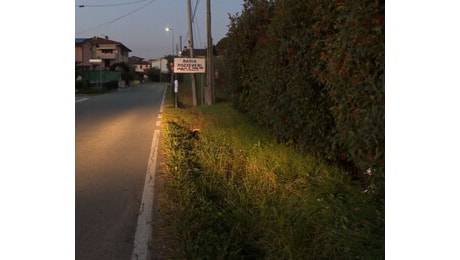 Pensionato trovato senza vita sul ciglio della strada; carabinieri a caccia di un'auto pirata