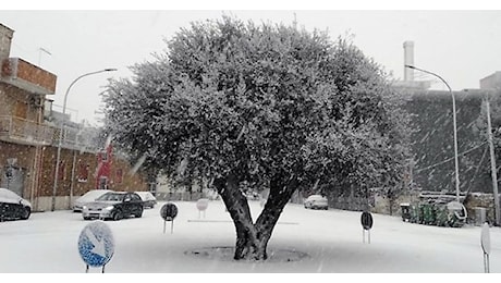 Allerta meteo, un gelido Natale in Puglia