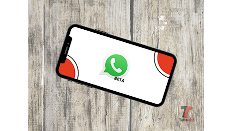 WhatsApp sperimenta i sondaggi per gli aggiornamenti di stato