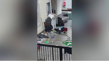 Il pianto disperato di un lupo cecoslovacco prigioniero su un terrazzo lurido a Torino