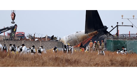 Ipotesi bird strike per lo schianto aereo in Corea del Sud: 167 morti. Il video dell’esplosione