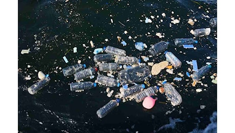 Plastica in acqua, ecco la regione con il mare più inquinato d’Italia