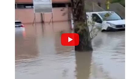 Meteo Video: Alluvione a Budrio (BO), il paese finisce sott'acqua