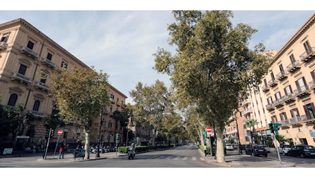 Palermo, al via i lavori di manutenzione di via Libertà