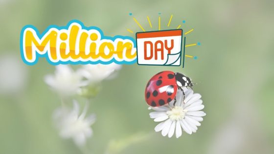 MillionDay E MillionDay Extra, I Numeri Vincenti Di Oggi