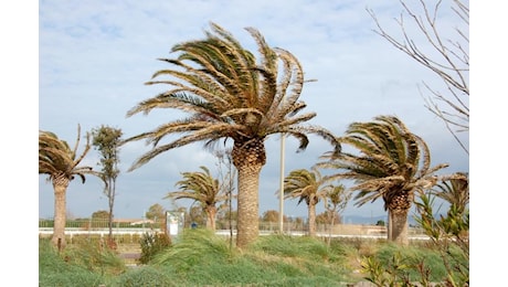 Condizioni meteorologiche avverse per vento e mareggiate dalle 15 del 22 alle 23,59 del 23 dicembre 2024