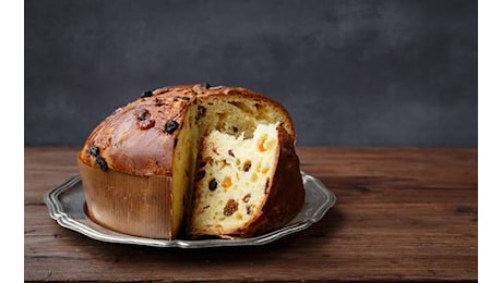 Natale 2024, meglio il panettone gourmet o quello industriale? Ecco quale scegliere