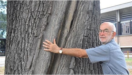 Il botanico Pellini: Verde pubblico?. È diminuito