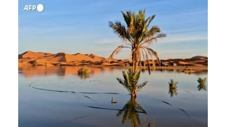 Marocco, Sahara: il lago Yasmina rinasce dopo le forti piogge