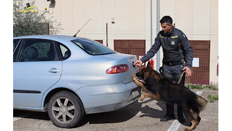 Sequestrata droga e segnalati 13 responsabili