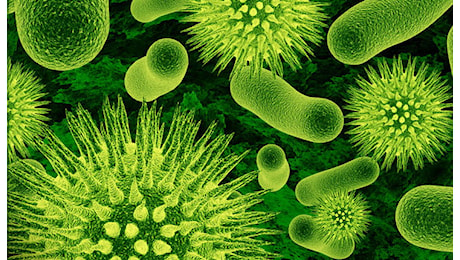 Antibiotici, “una tassa contro l’emergenza superbatteri”