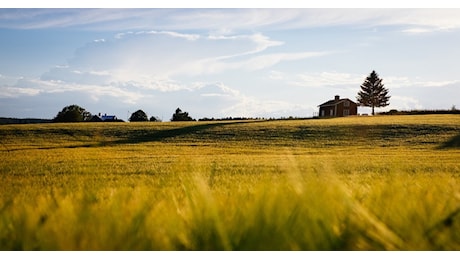 Acquisto terreni agricoli: domande per Generazione Terra fino al 29 novembre