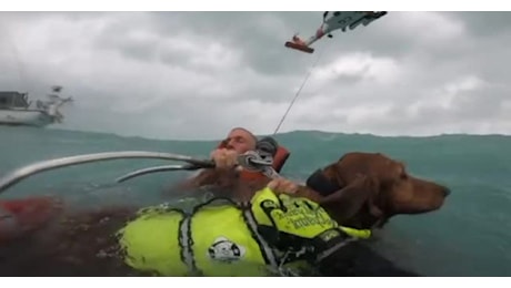 IL VIDEO. Uragano Helene, la Guardia Costiera Usa salva un uomo e il suo cane