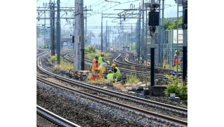 Daino investito, ancora disagi e ritardi per i treni dell'Alta velocità tra Bologna e Roma