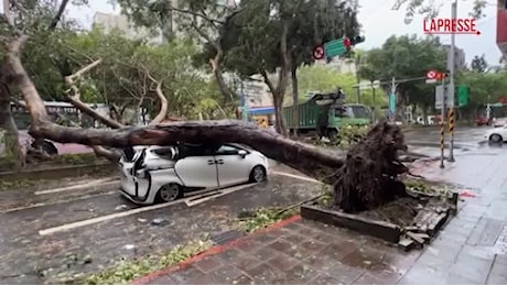 Tassista si salva per un pelo dalla caduta di un albero durante il passaggio del tifone Kong-rey