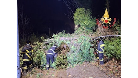 Forti raffiche di vento in Calabria, diversi gli interventi dei Vigili del Fuoco