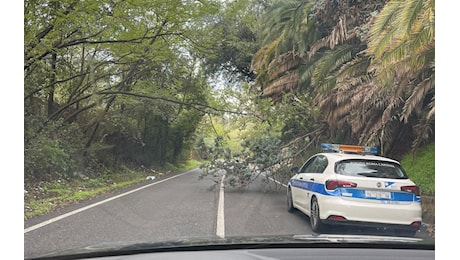 Roma, alberi caduti bloccano via Portuense: residenti 'prigionieri'